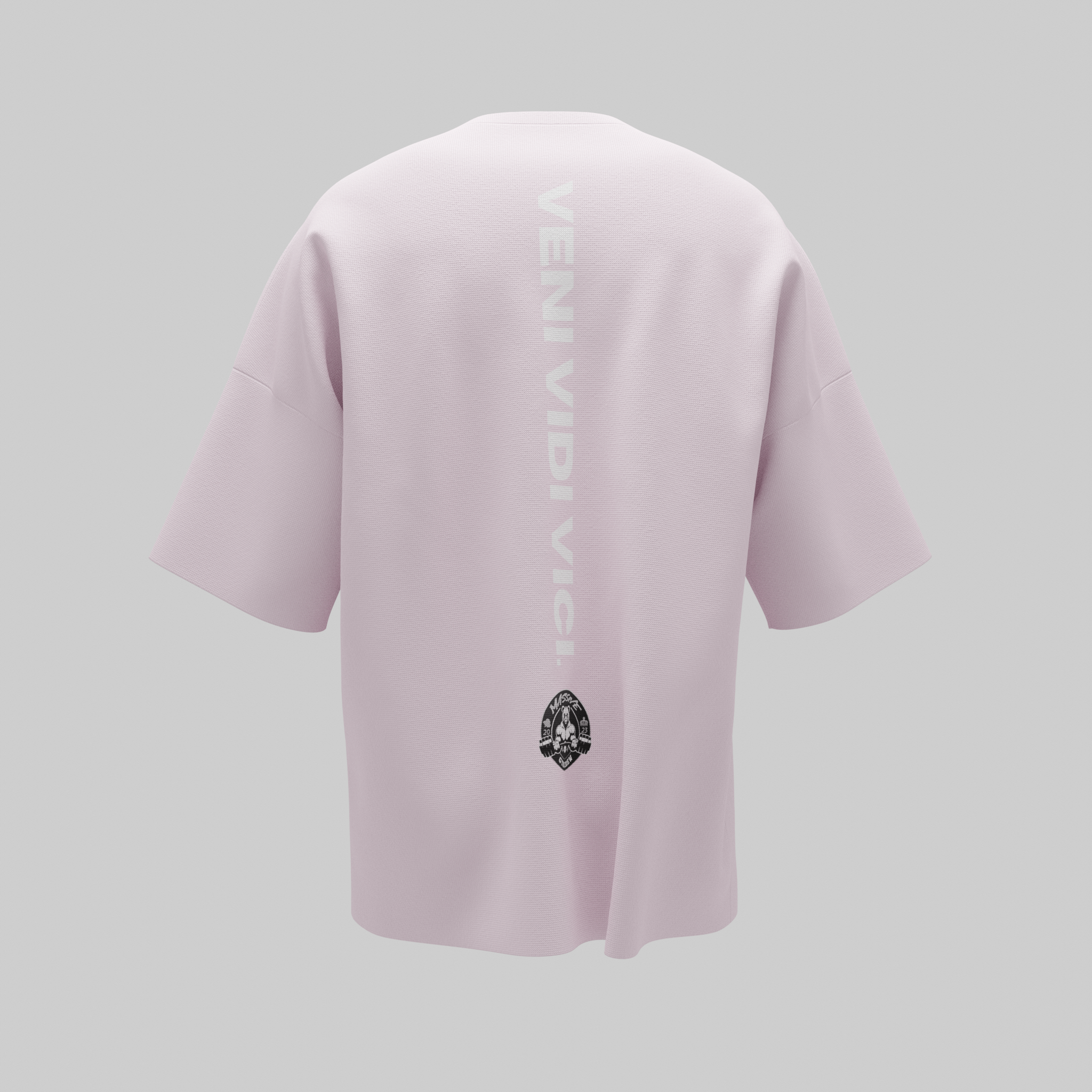 Veni Vidi Vici Unisex T-Shirt