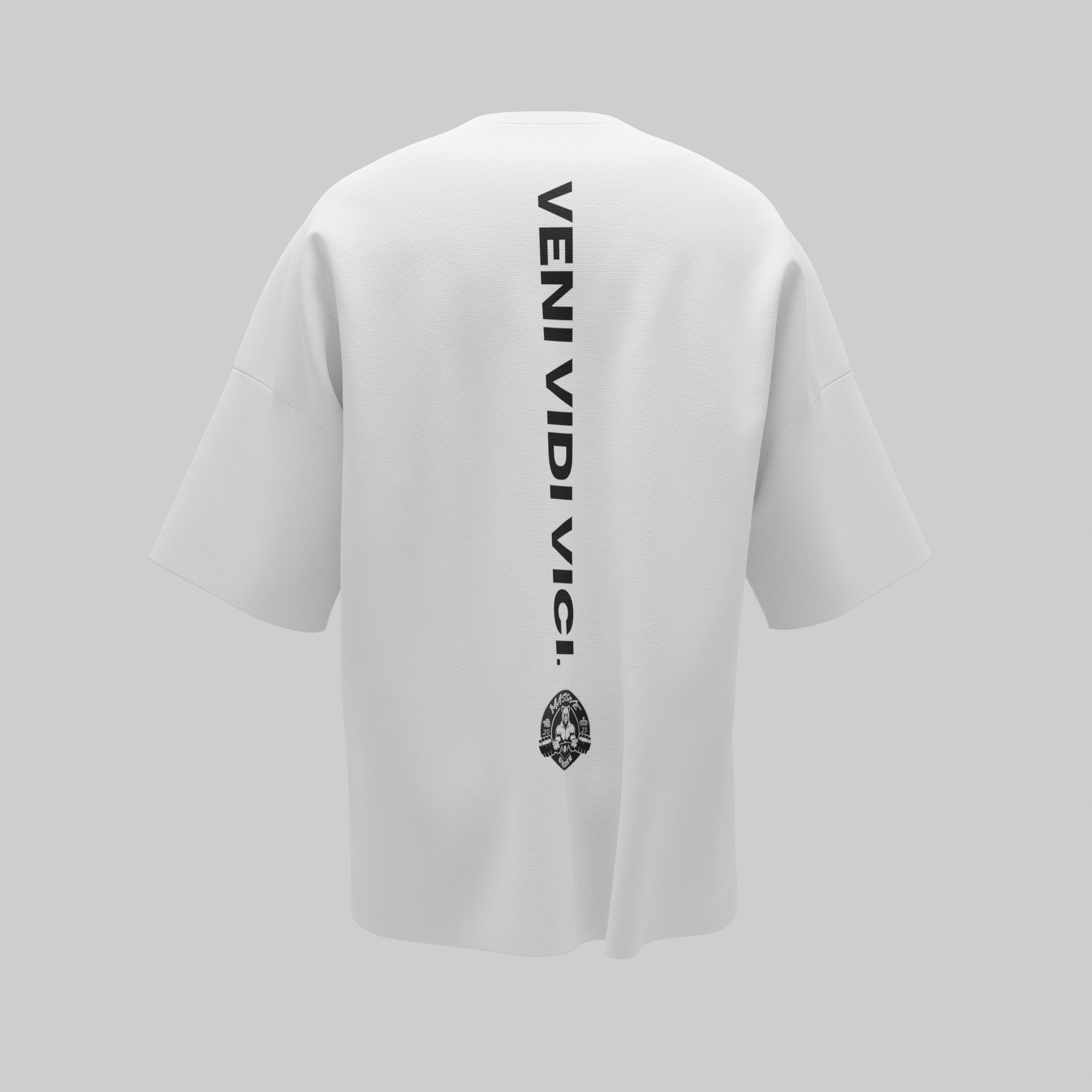 Veni Vidi Vici Unisex T-Shirt