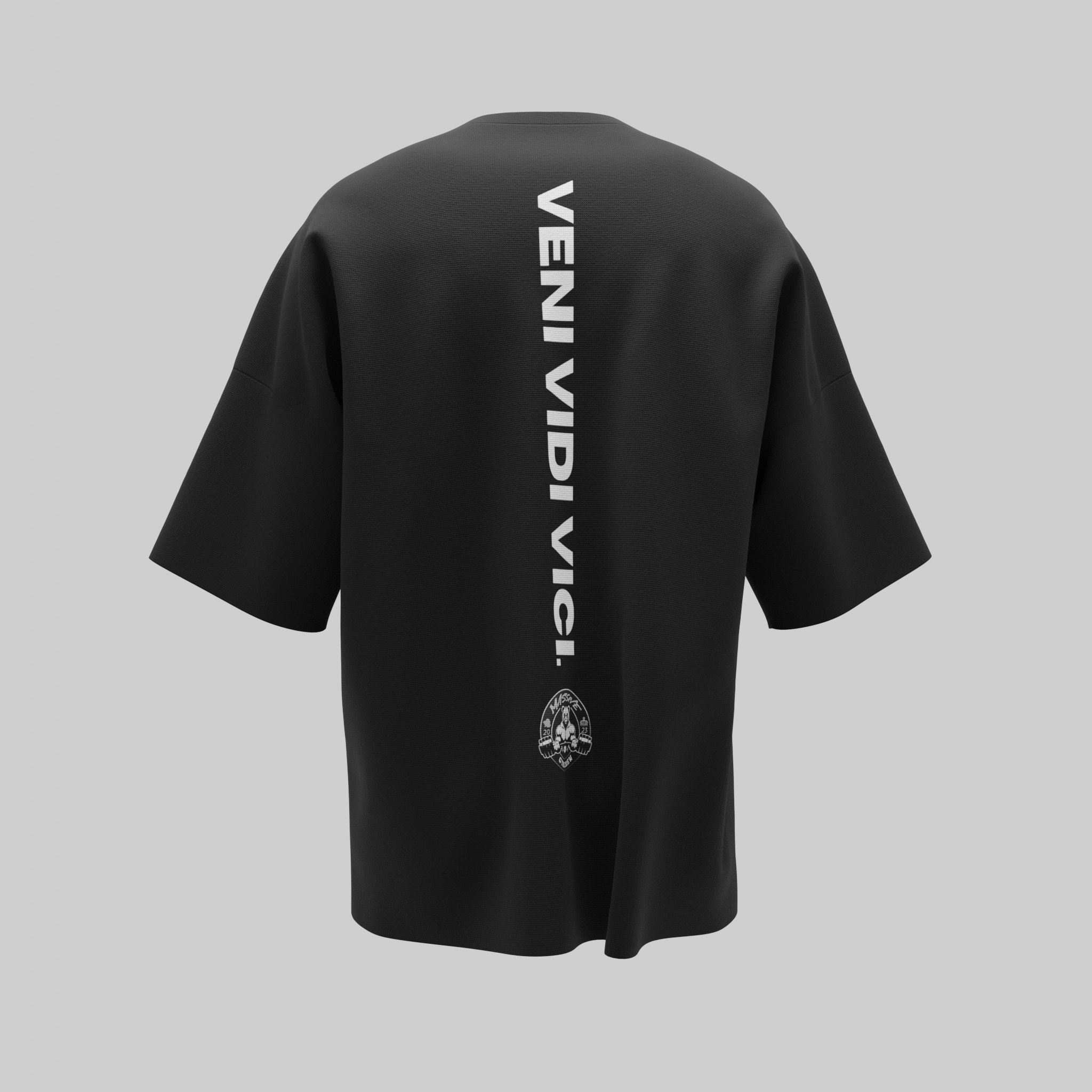 Veni Vidi Vici Unisex T-Shirt