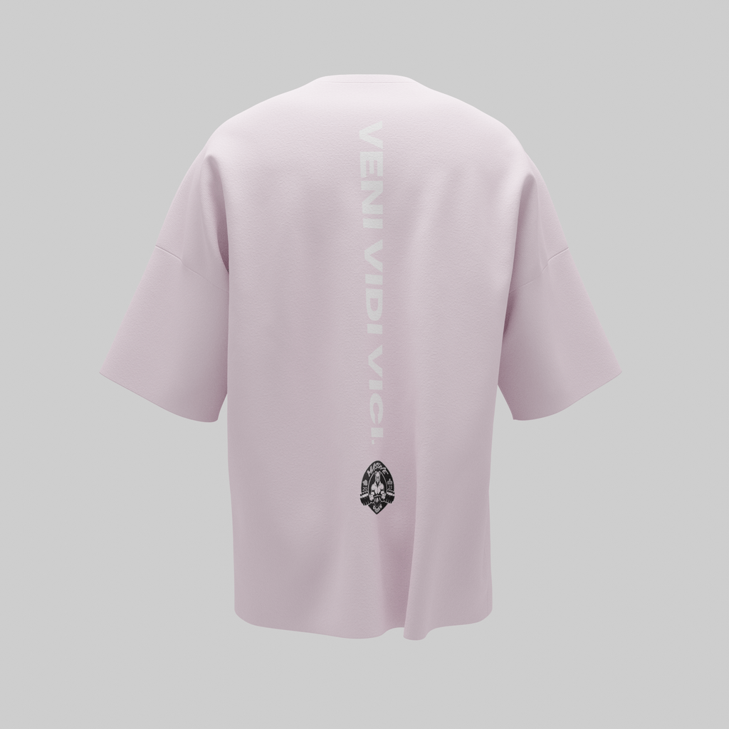 Veni Vidi Vici Unisex T-Shirt